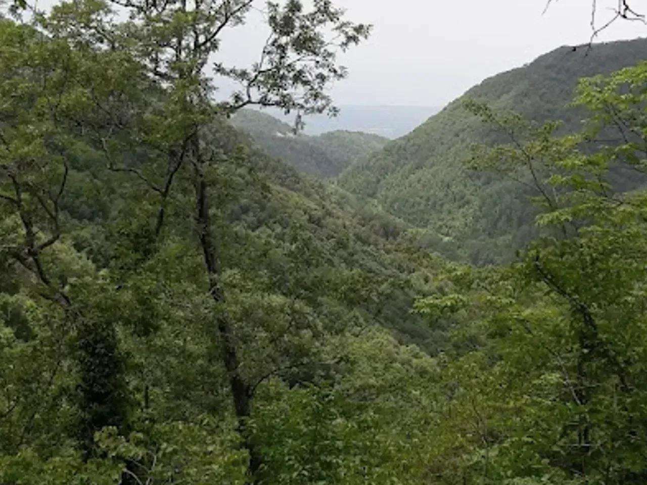 Yaheli Yaylası - 1