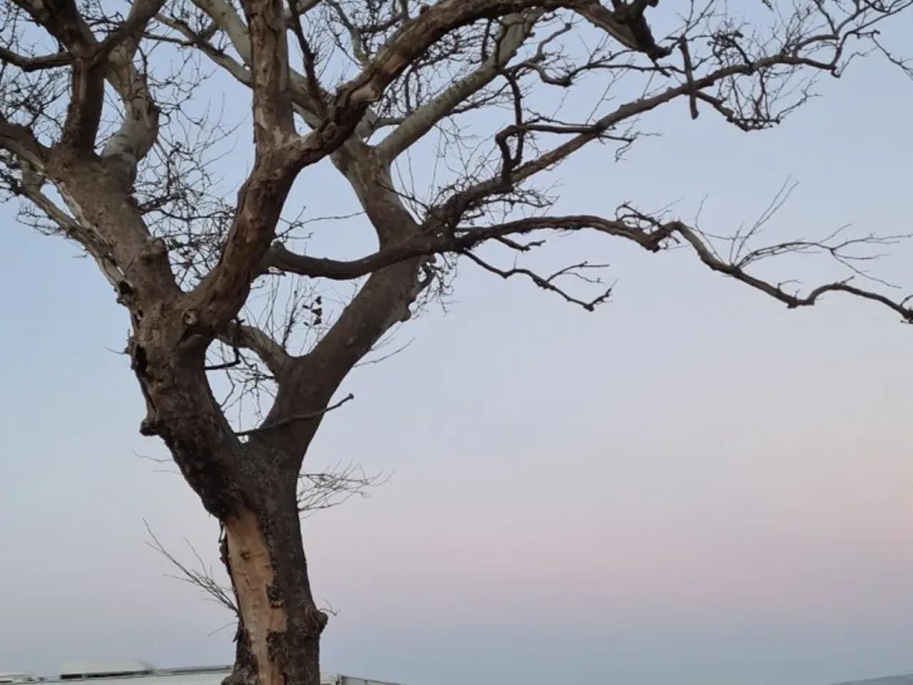 Yalova,Edirne Çanakkale Yolu - 1