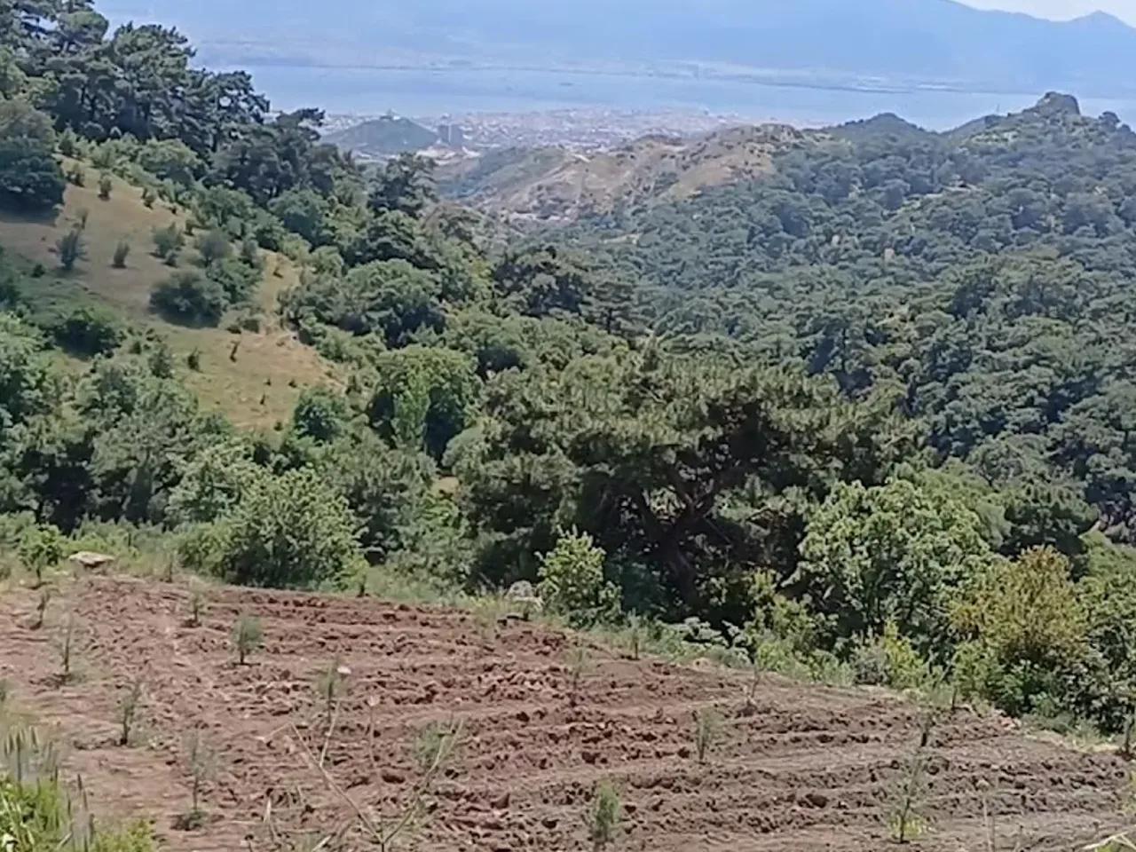 Yamanlardağı Tabiat Parkı (Ziyarete Kapalı) - 3