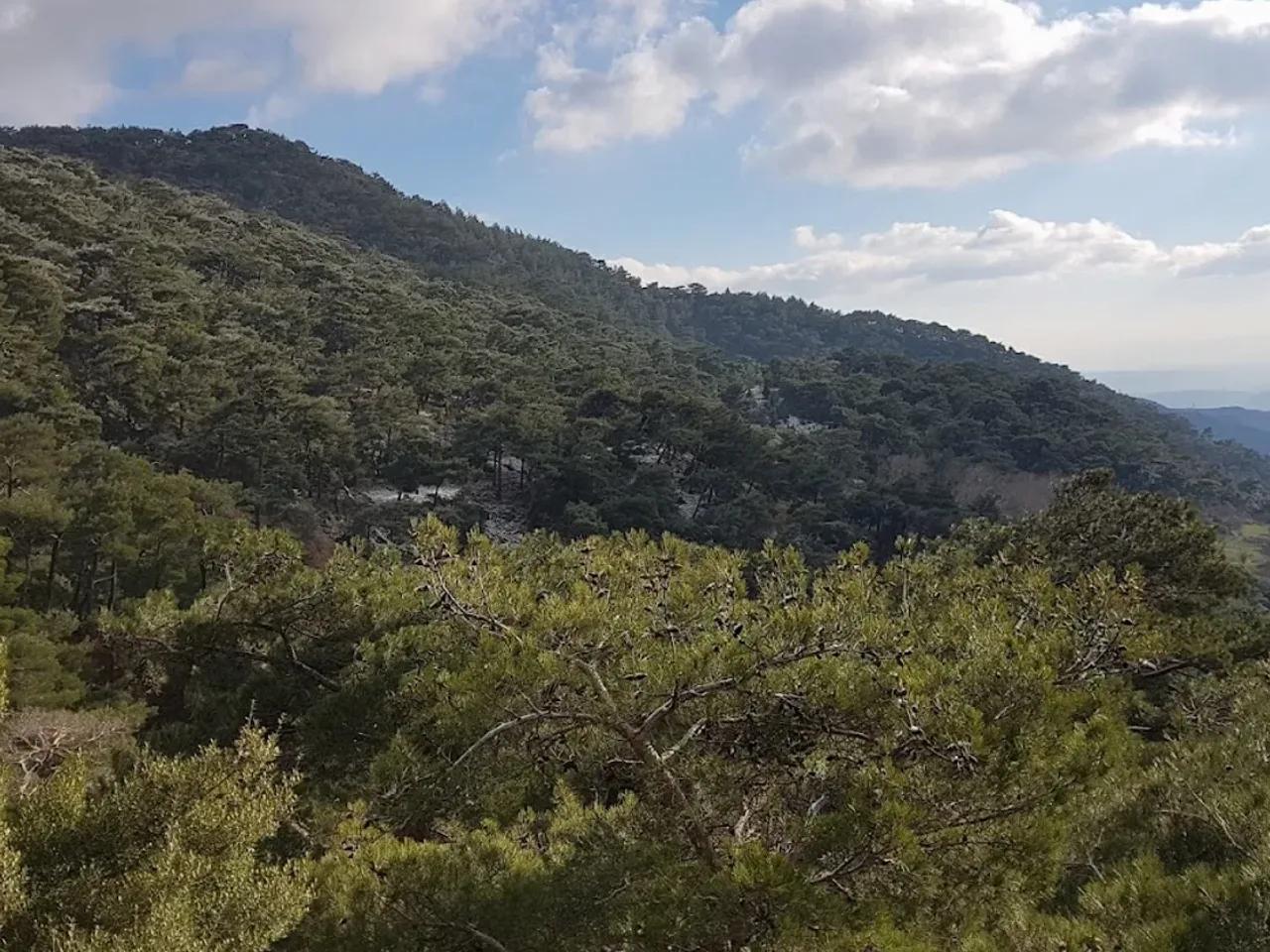 Yamanlardağı Tabiat Parkı (Ziyarete Kapalı) - 5
