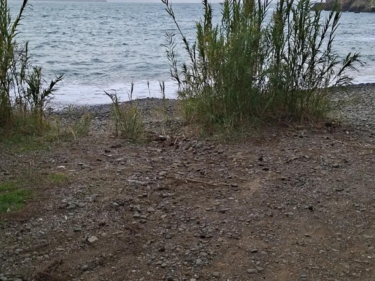 Yanıklar, - 2