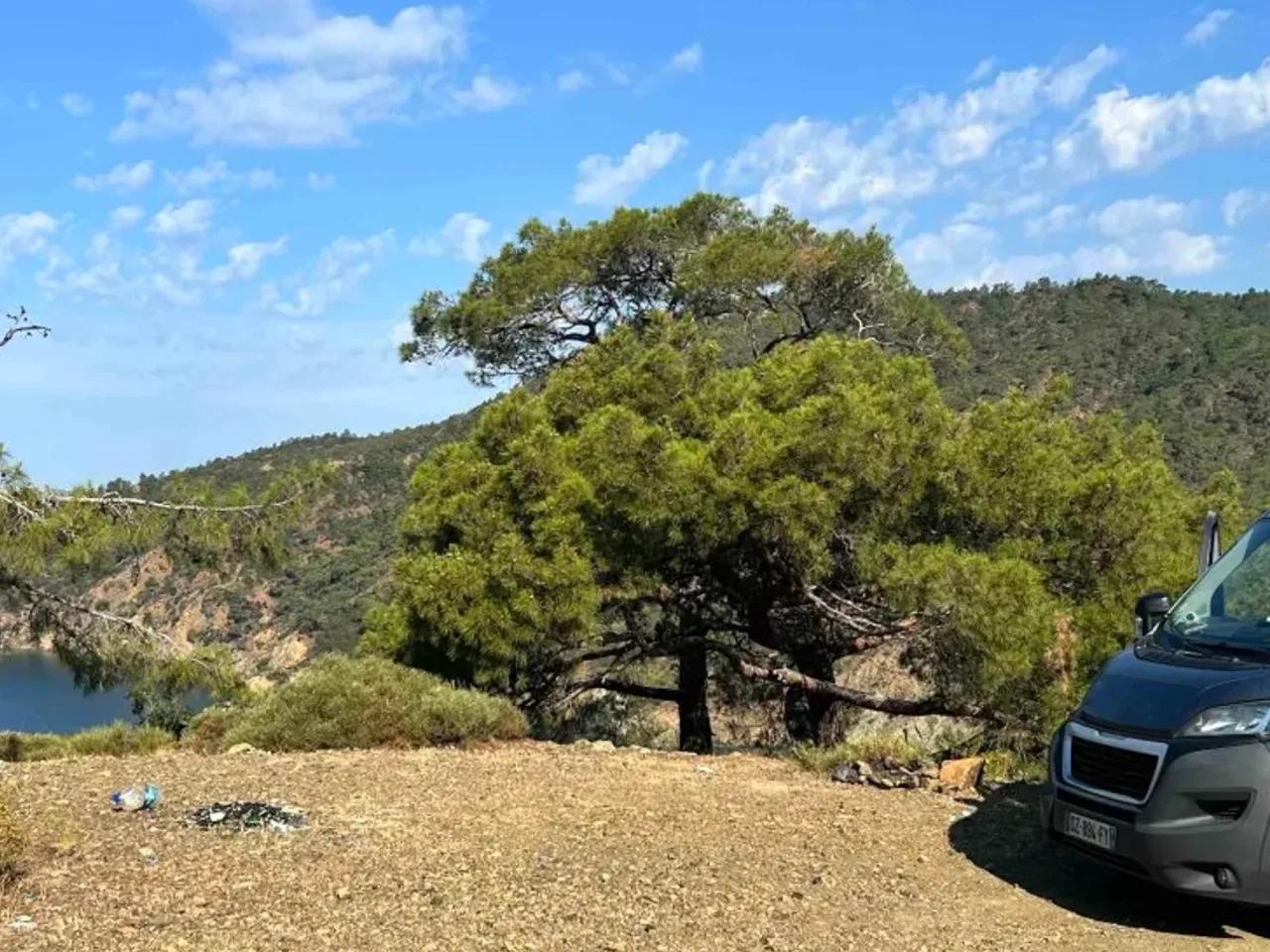 Yanıklar, - 3