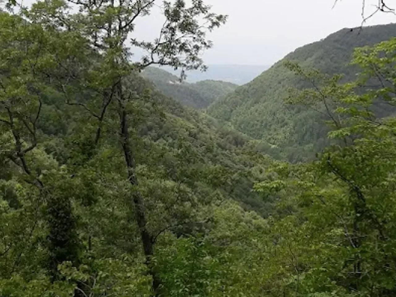 Yarpuz Yaylası