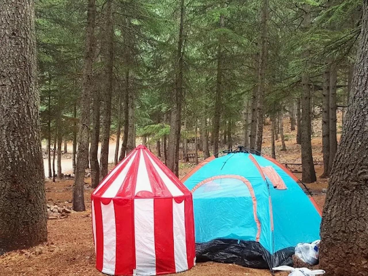 Yavşan Yaylası Tabiat Parkı - 2