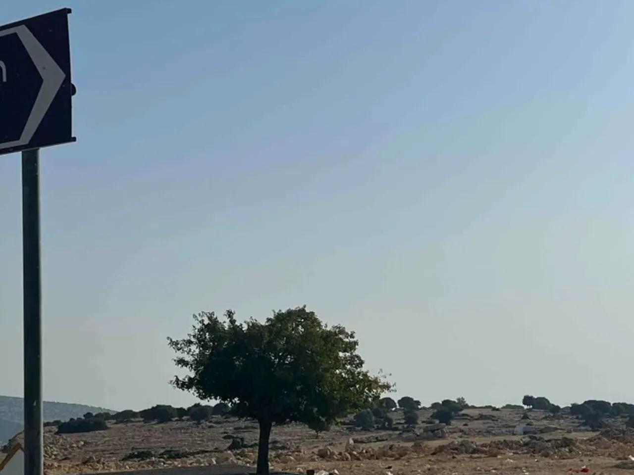 Yavuzeli,D850 - 2