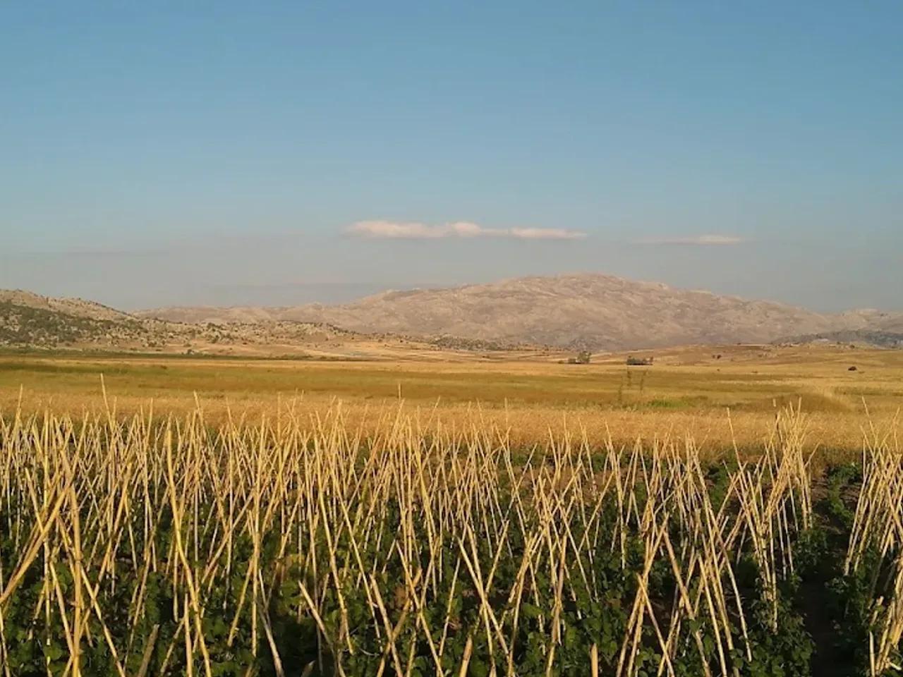 Yazır Gölü - 2