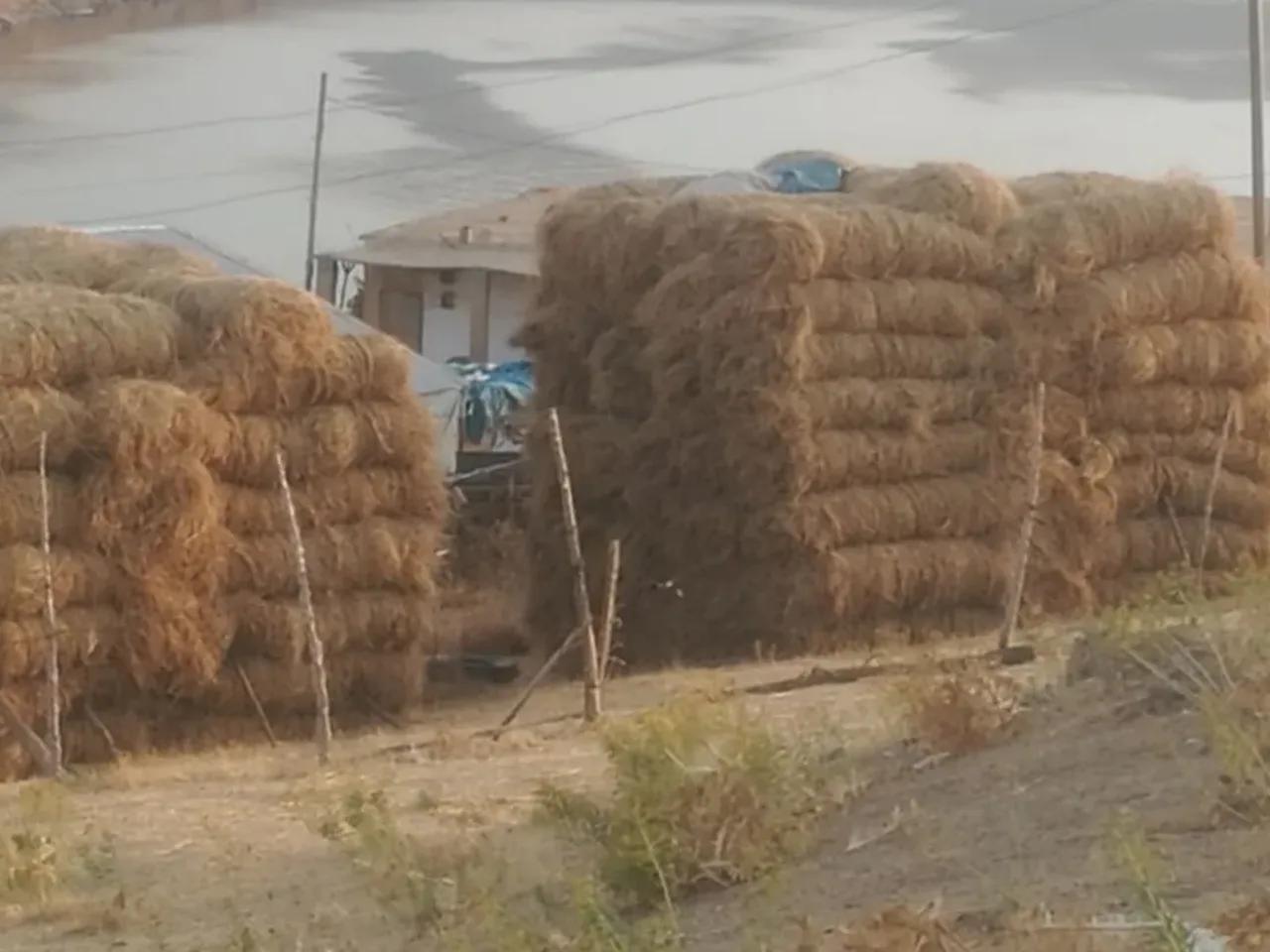 Yelkenli Bucağı Yolu - 3