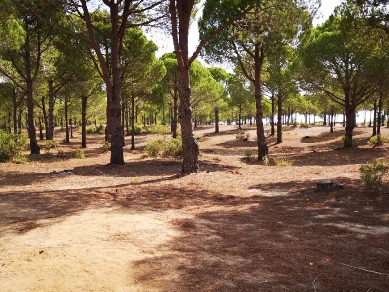 Yeni Yol - 1