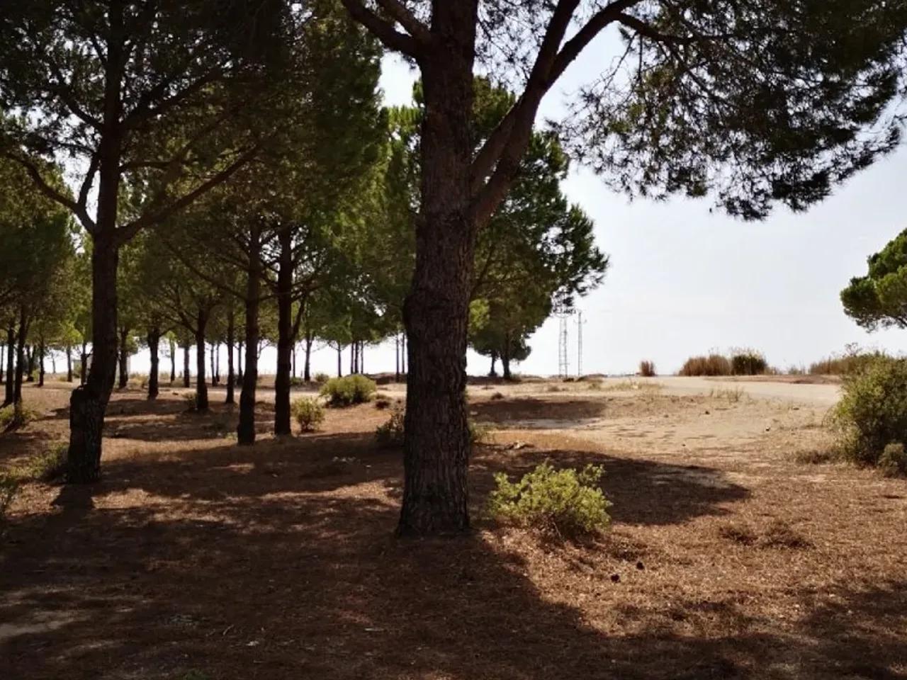 Yeni Yol - 2