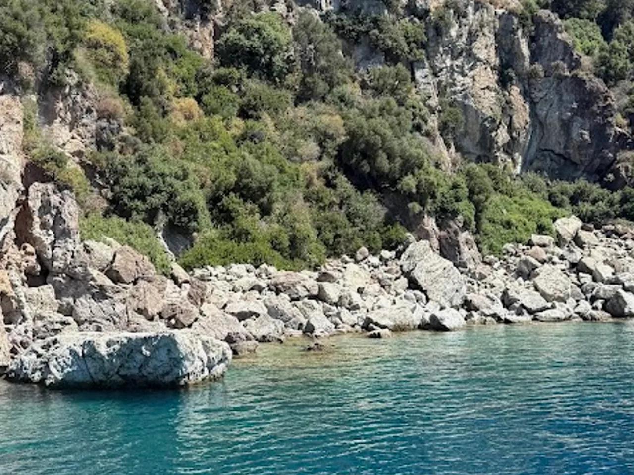 Yeşil Deniz Koyu - 1