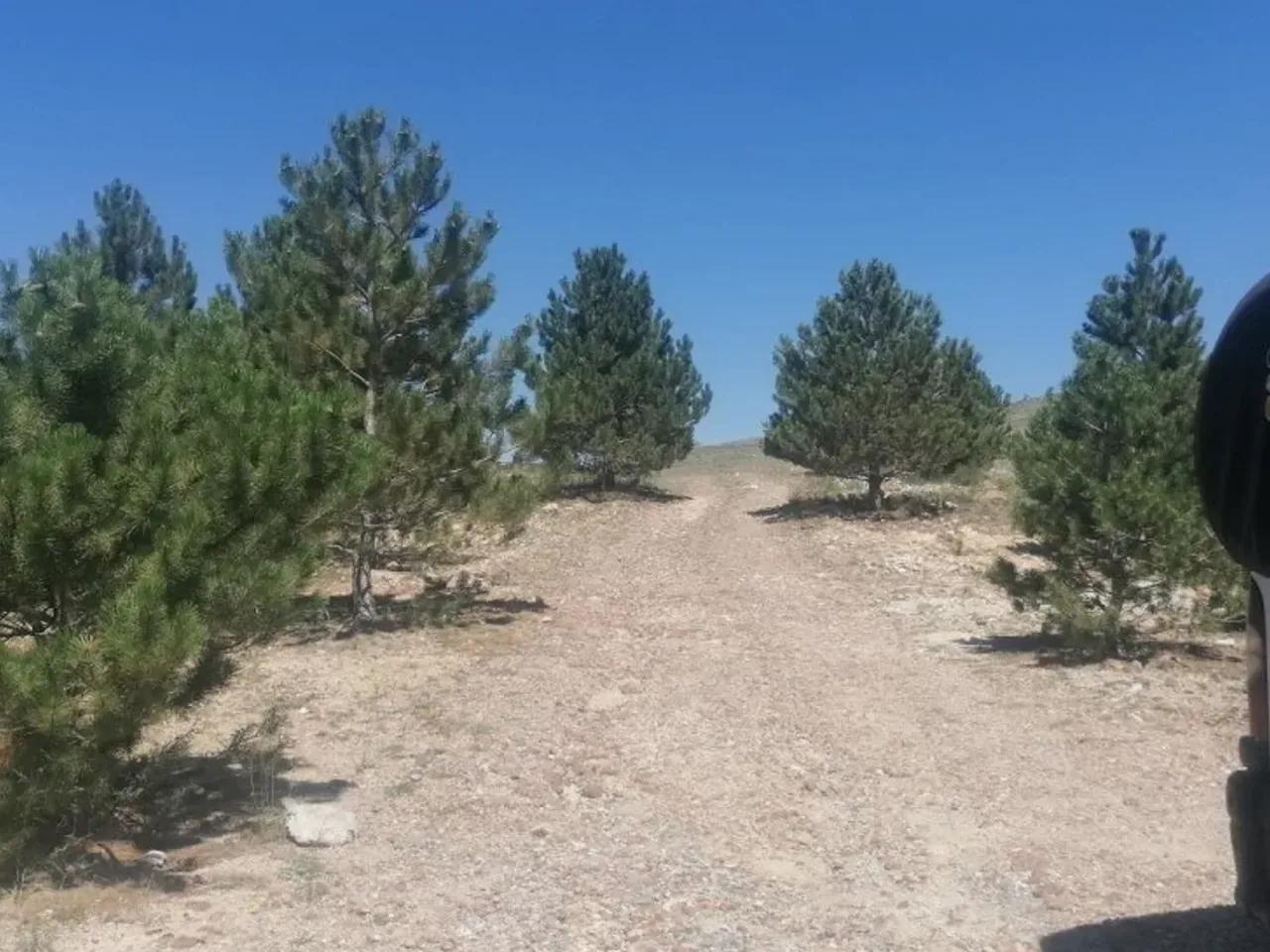 Yeşilhisar, - 2