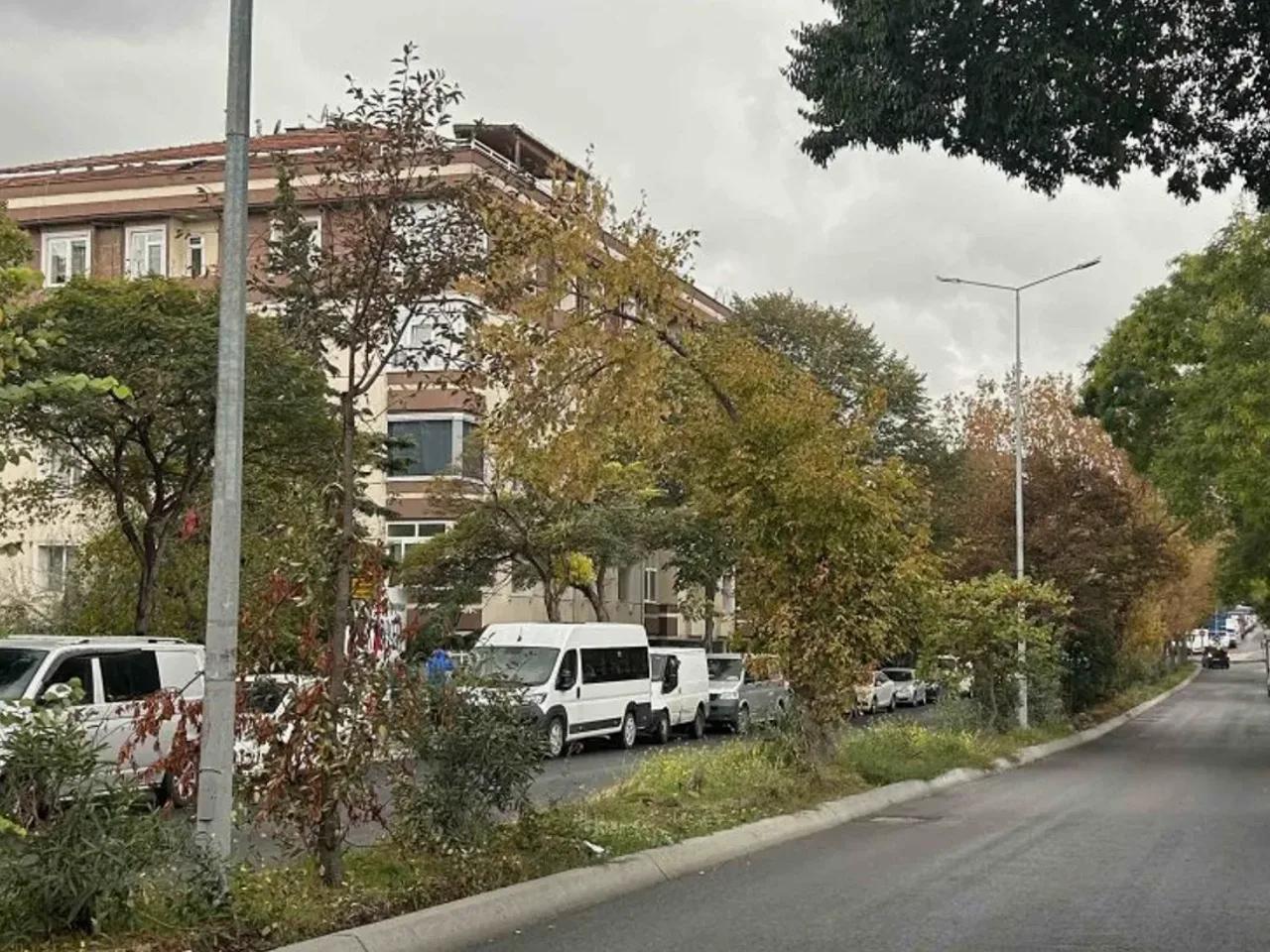 Yeşilköy,39 Halkalı Caddesi - 2