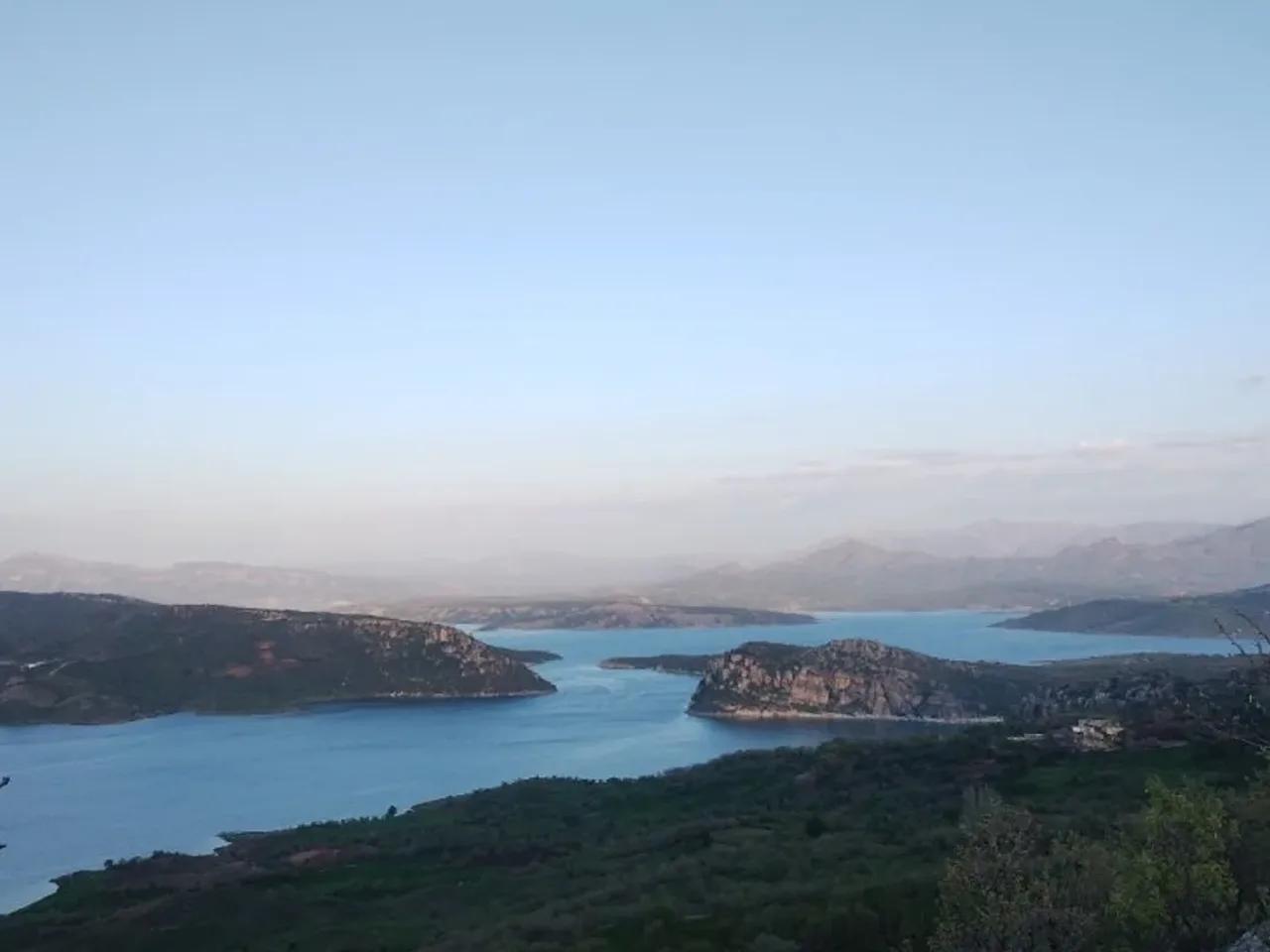 Yeşilsırt, - 1