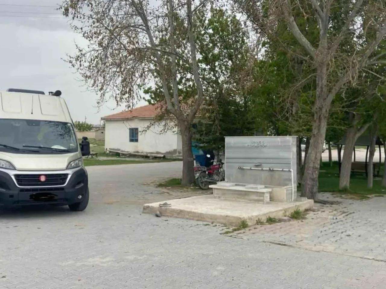 Yeşiltömek, - 1