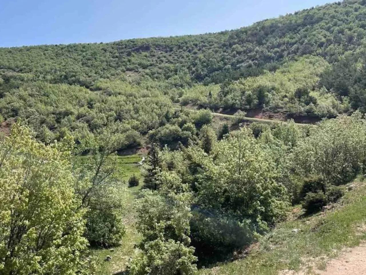 Yıldızeli, - 1
