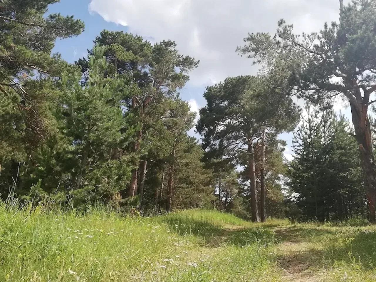 Yukarıdamlapınar Yaylası