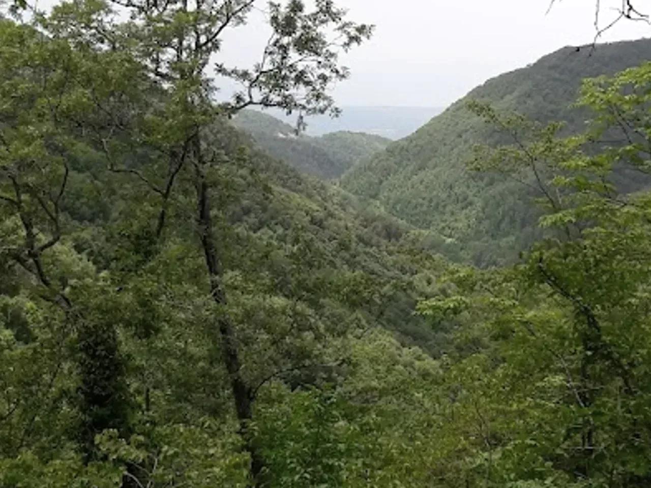 Yukarıkarıncalı Yaylası