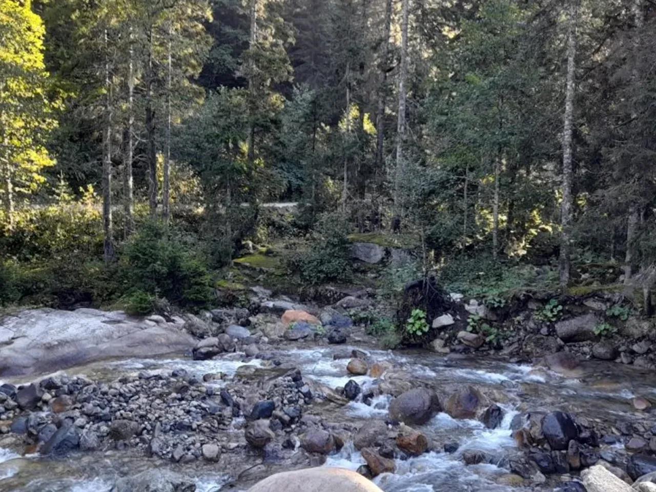 Yukarışimşirli, - 2