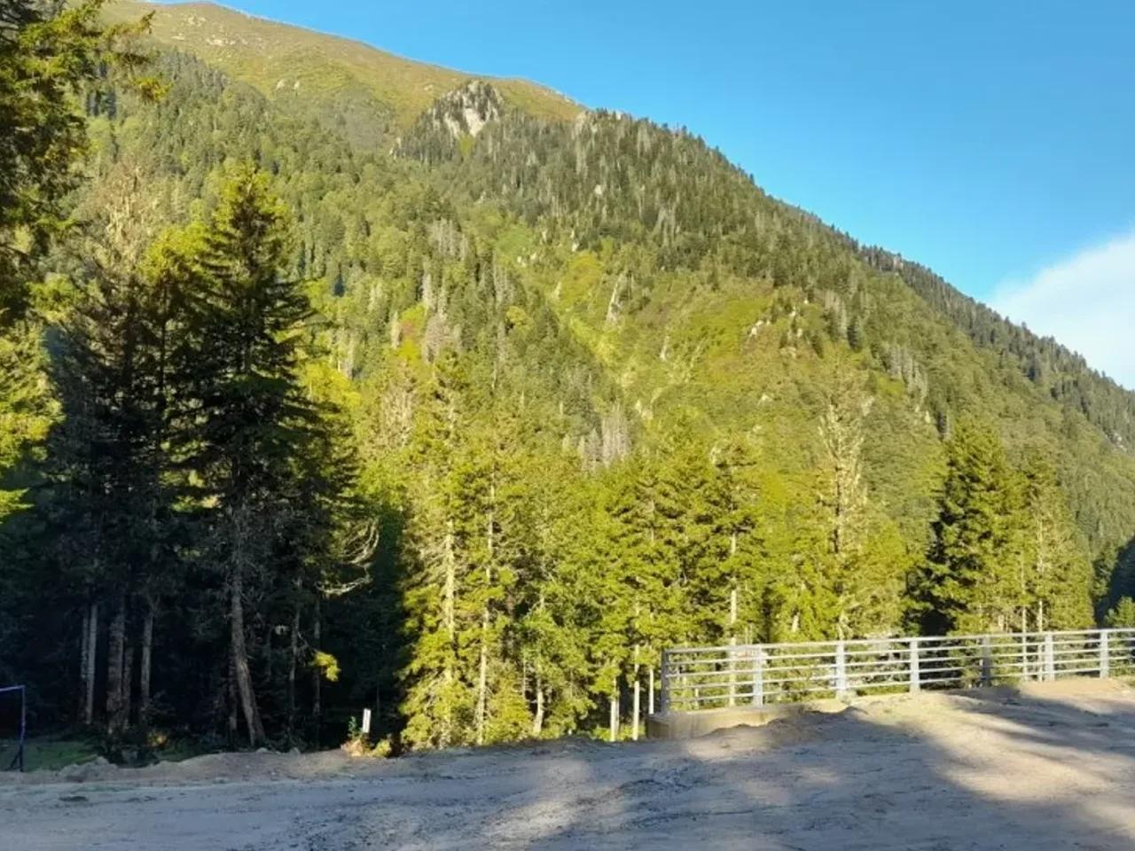 Yukarışimşirli, - 3