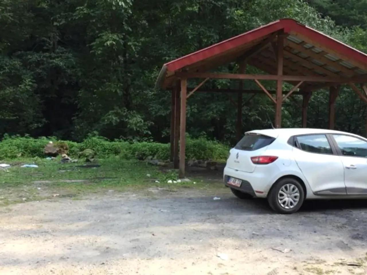 Yukarışimşirli, - 2