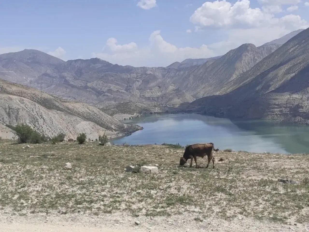 Yurt Yaylası