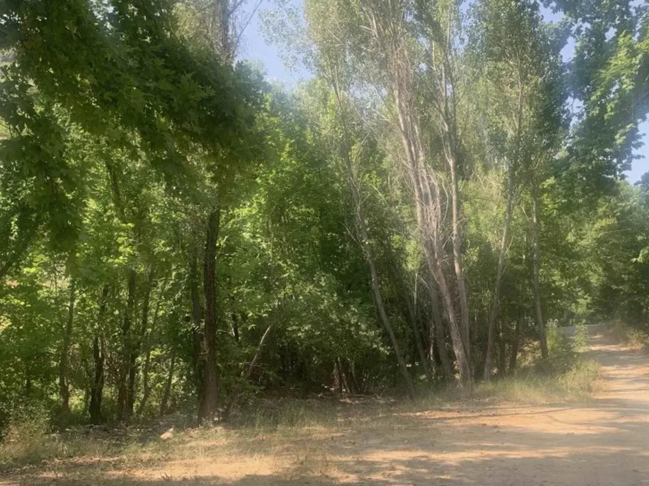 Yuva, Kemaliye - 1