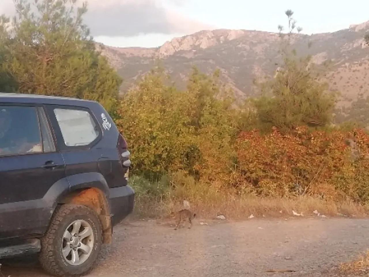 Yuvacık/Amasya,Kale Yolu - 2