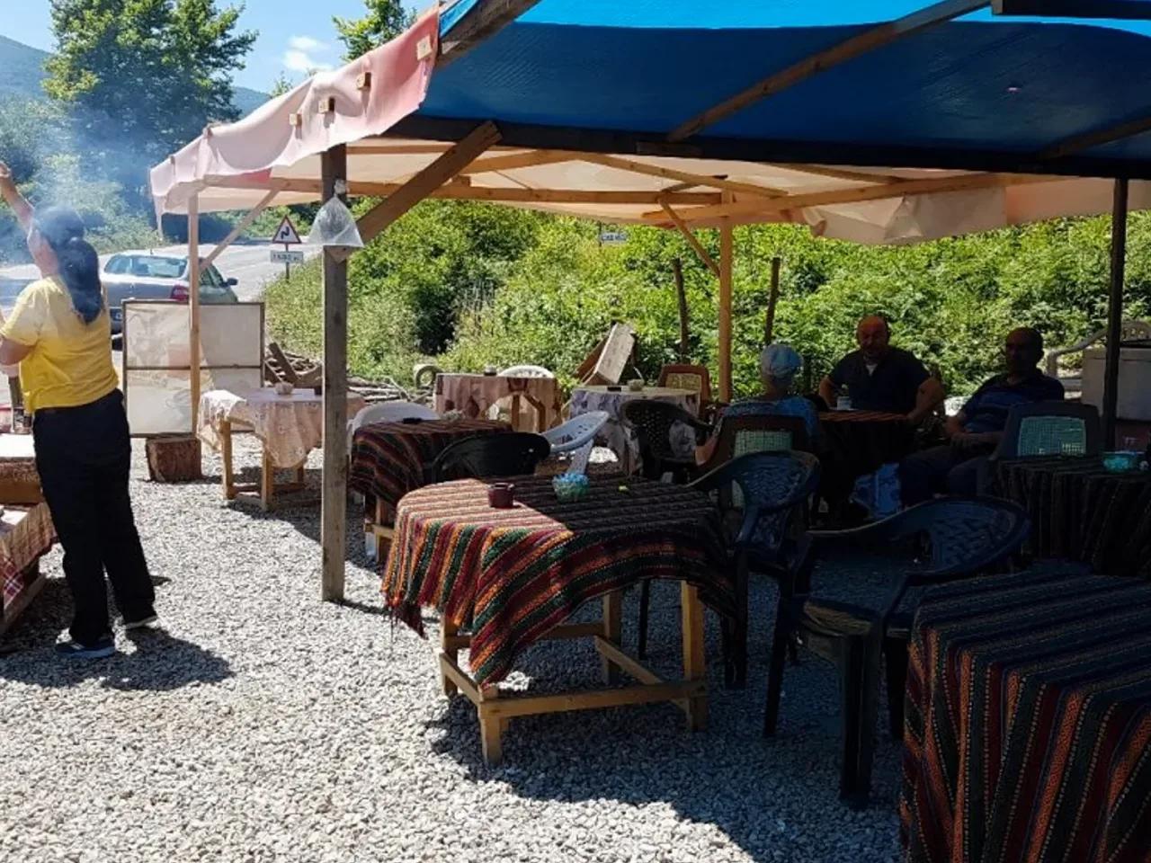 Zaviye/Ayancık/Sinop,Sinop İnebolu Yolu - 2