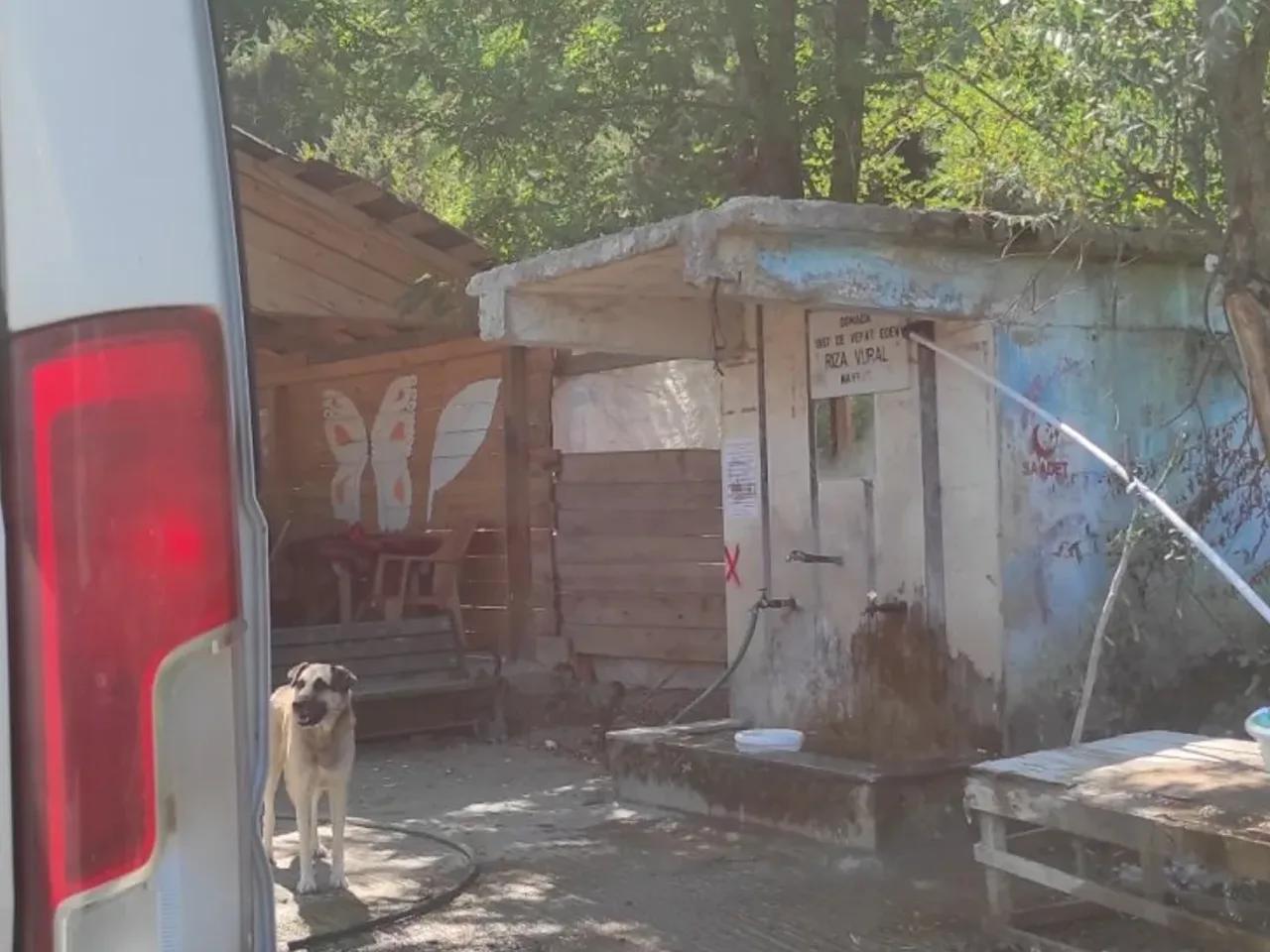 Zaviye/Ayancık/Sinop,Sinop İnebolu Yolu - 3
