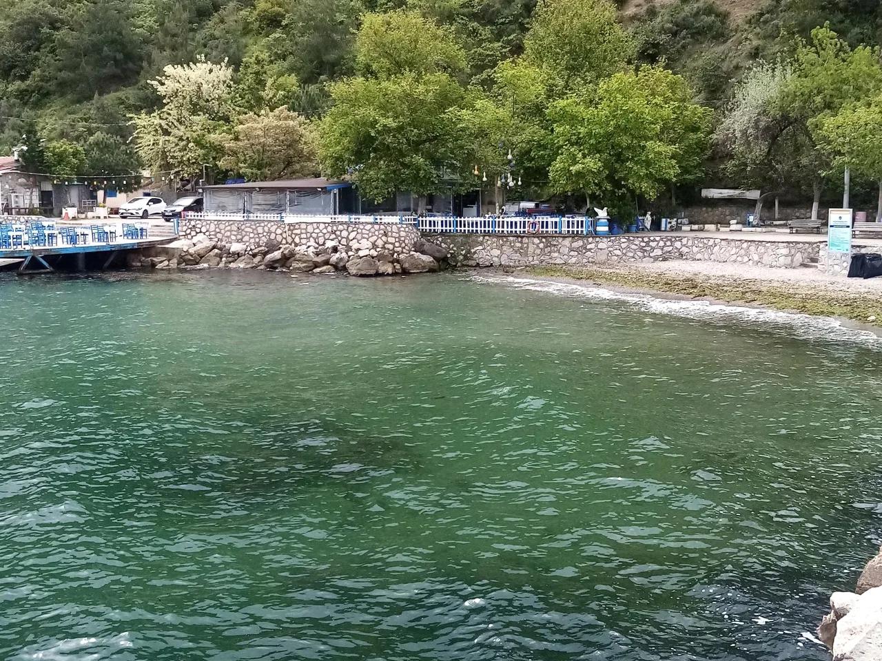 Zeytinbağı Halk Plajı - 5