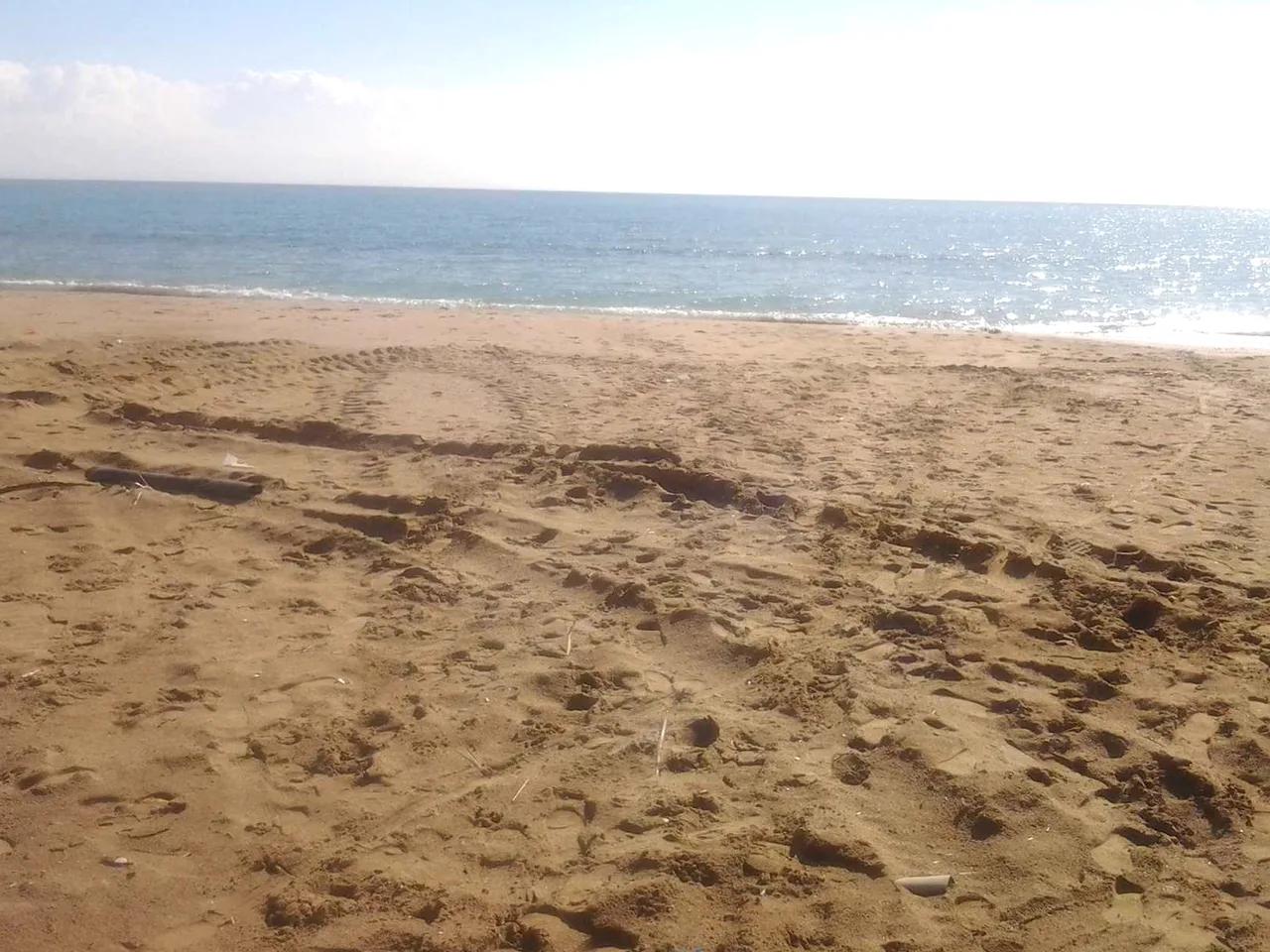 Zeytinbeli Plajı - 3