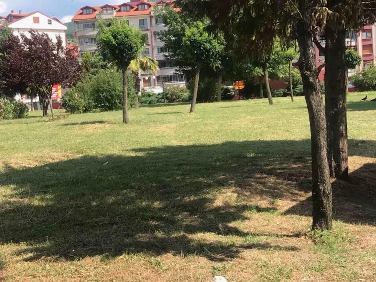 Zonguldak,105 Alparslan Sokak - 2