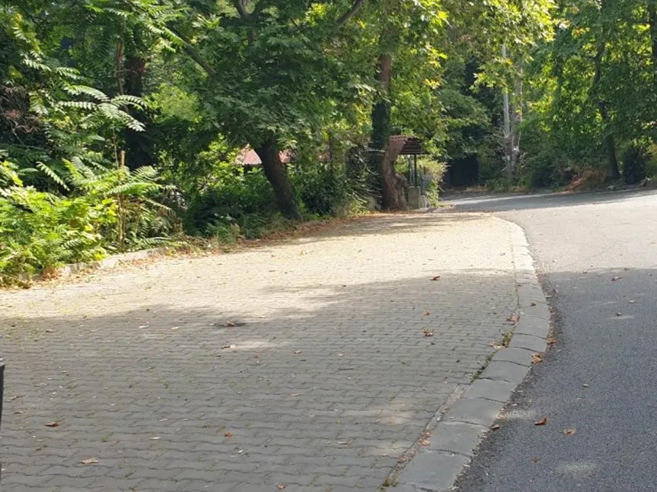 Zonguldak,57 Fener Caddesi - 1