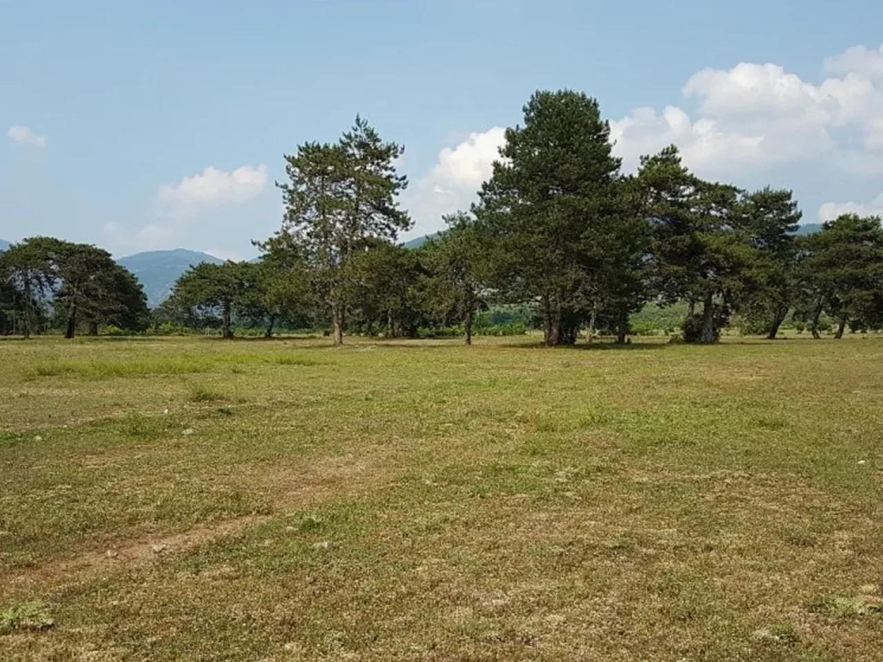 Zonguldak - 2