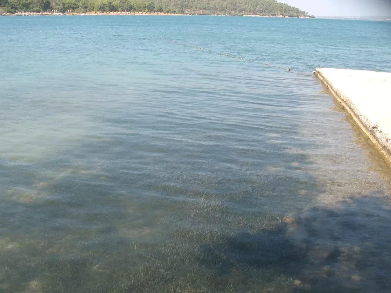 Zübeyde Hanım Parkı Plajı