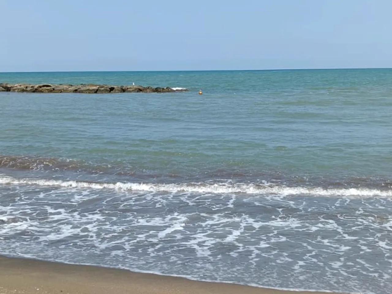 Altınordu Cumhuriyet Bahçeşehir Koleji Önü