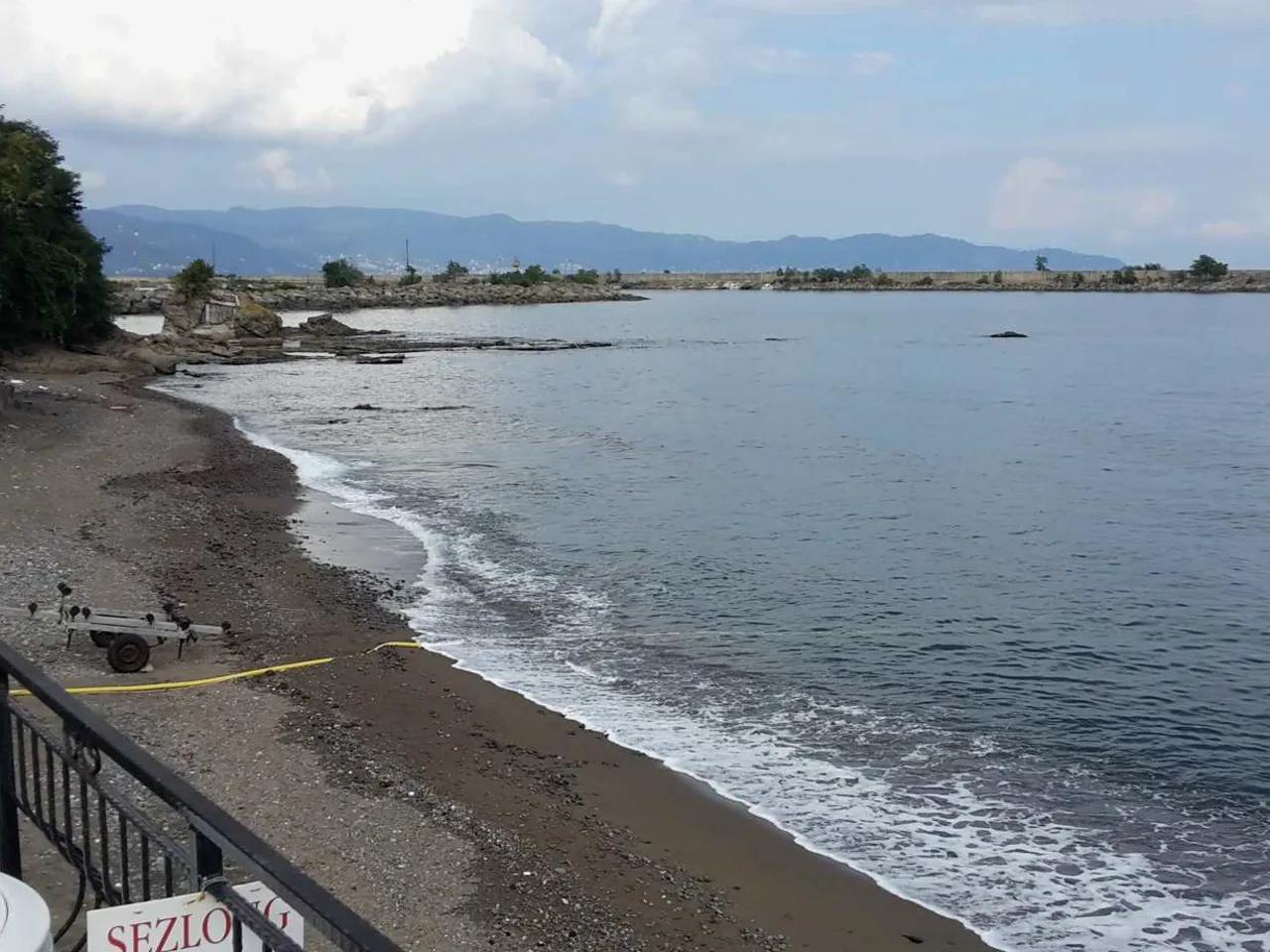 Altınordu Güzelyalı Çamlı Yalı Plajı