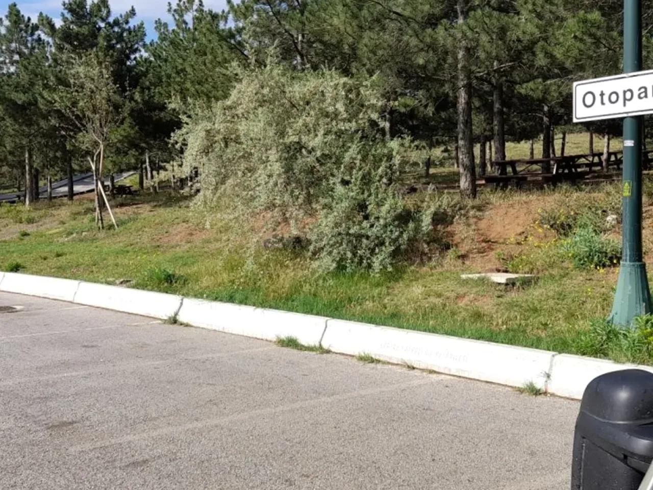 Ankara,8250 Ankara Çevre Yolu Samsun Yolu Bağlantısı - 2