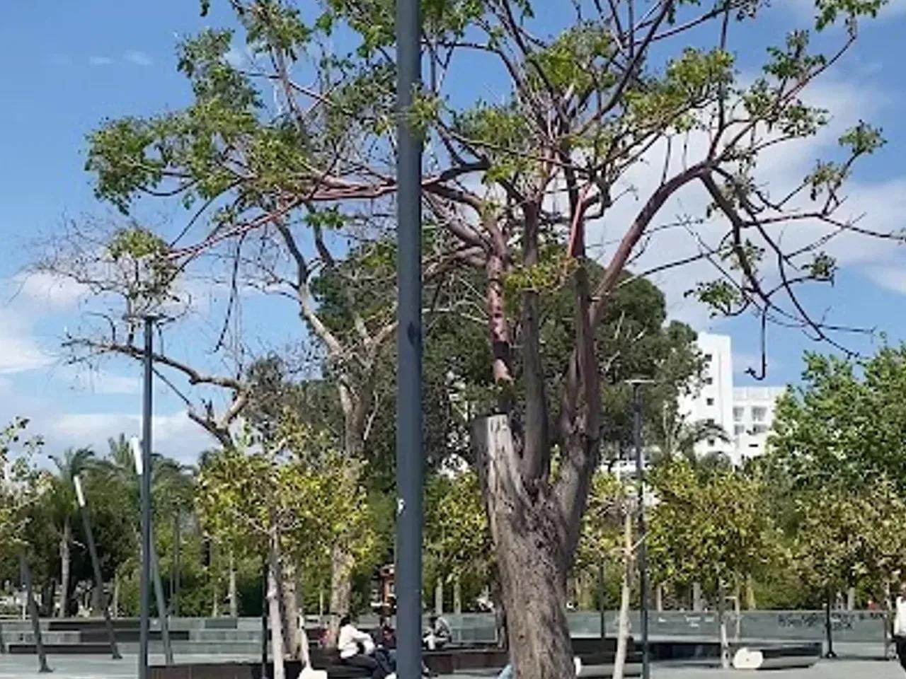 Sahil Antalya Yaşam Parkı 2 - 3