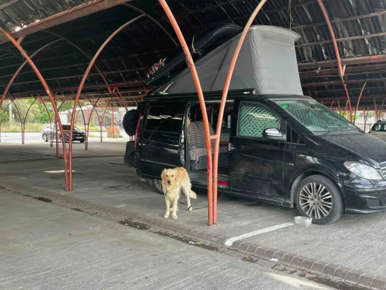 Balıkesir,16 Remzi Molvalıoğlu Caddesi 1. Sokak - 1