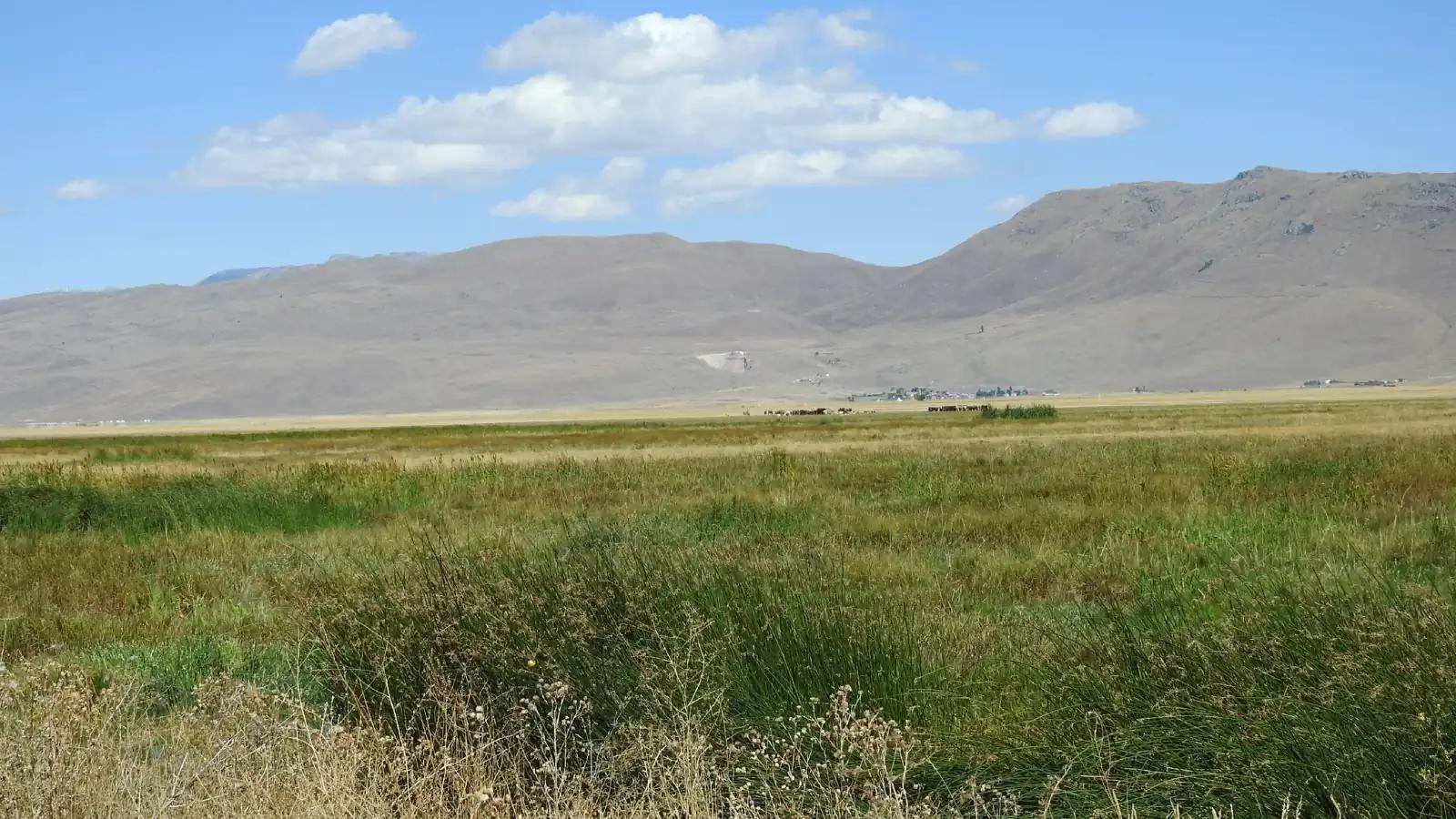 Erzurum Bataklıkları Sulak Alanı - Erzurum tabiat parkı fotoğrafı