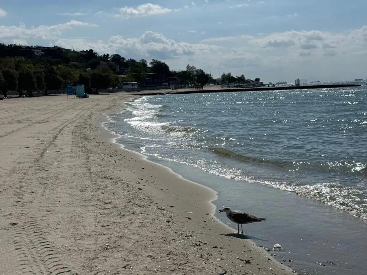 Menekşe Plajı Cankurtaran Kulesi Önü - 2