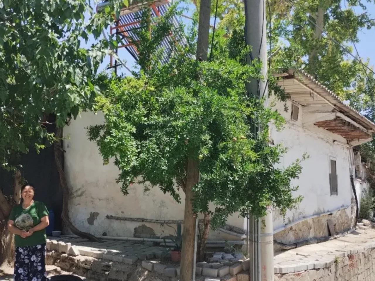 Pamukkale,71 Mehmet Akif Ersoy Bulvarı - 1