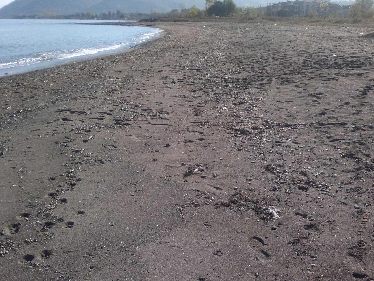 Perşembe Çerli Köyü Kumsalı Kadınlar Plajı - 3